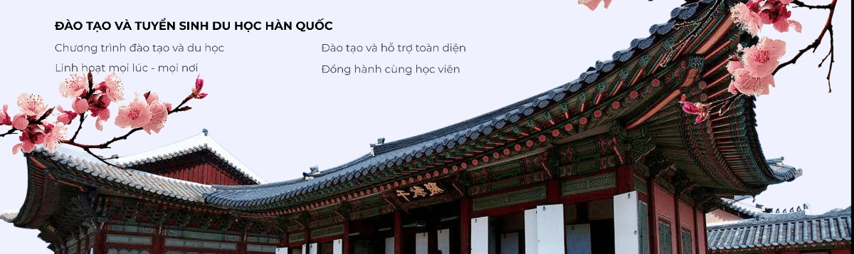 HÀN NGỮ DU HỌC HÀN QUỐC IES