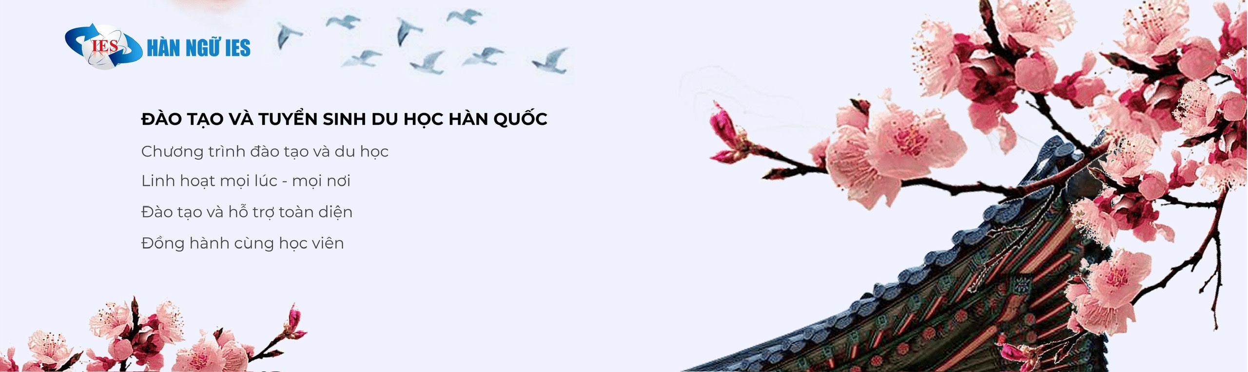 HÀN NGỮ DU HỌC HÀN QUỐC IES