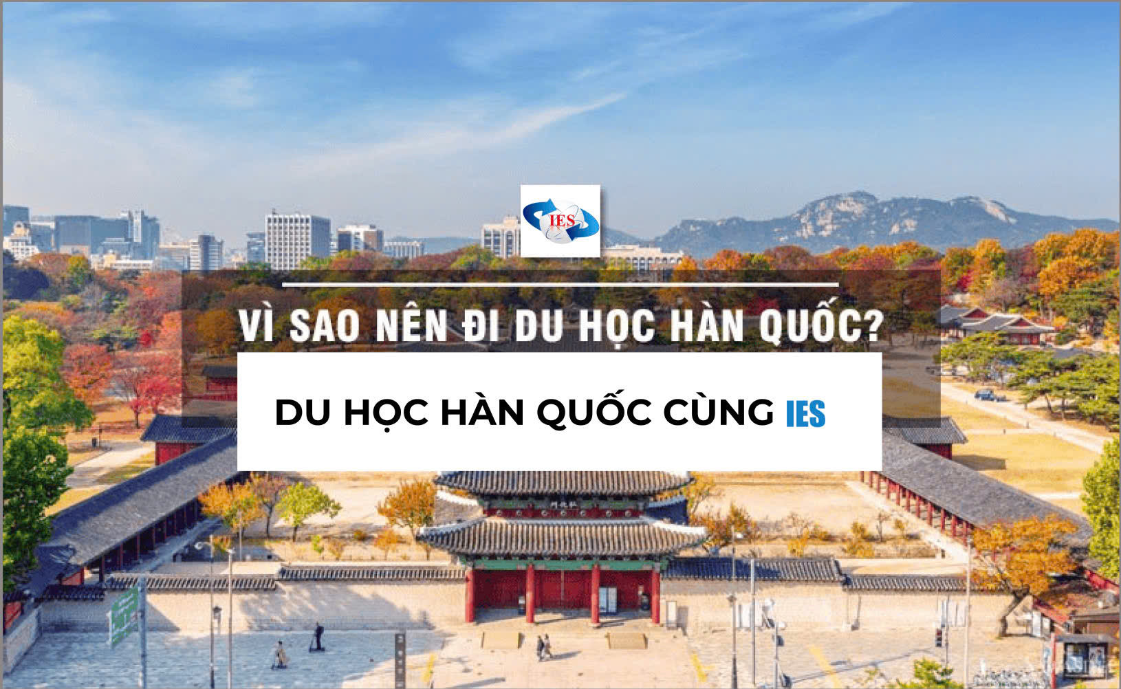 HÀN NGỮ DU HỌC HÀN QUỐC IES