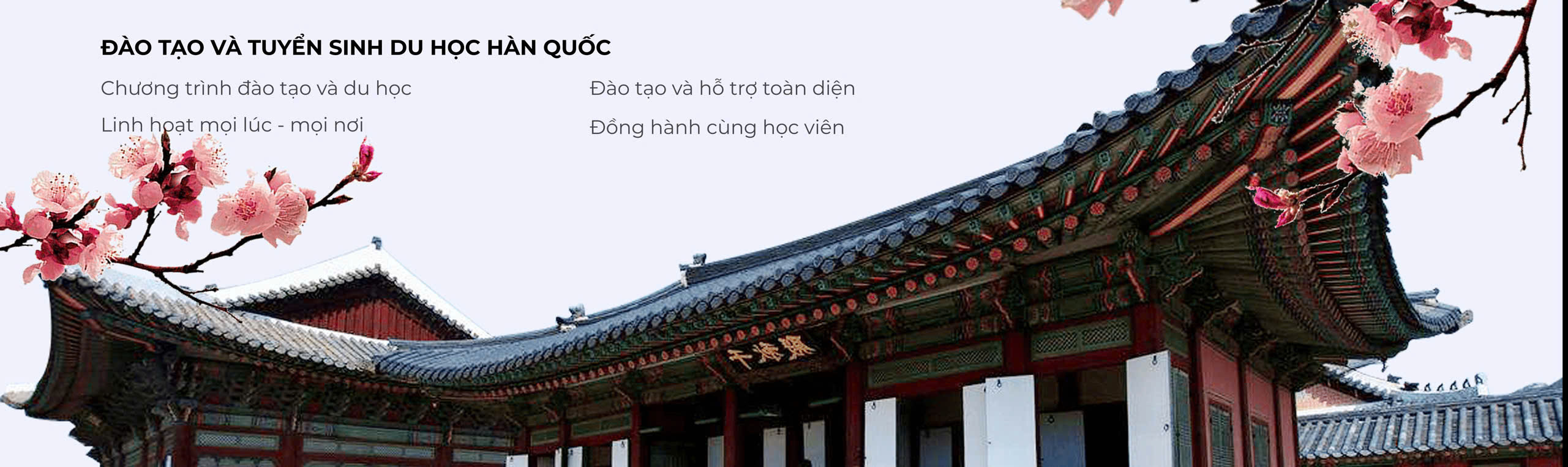 HÀN NGỮ DU HỌC HÀN QUỐC IES