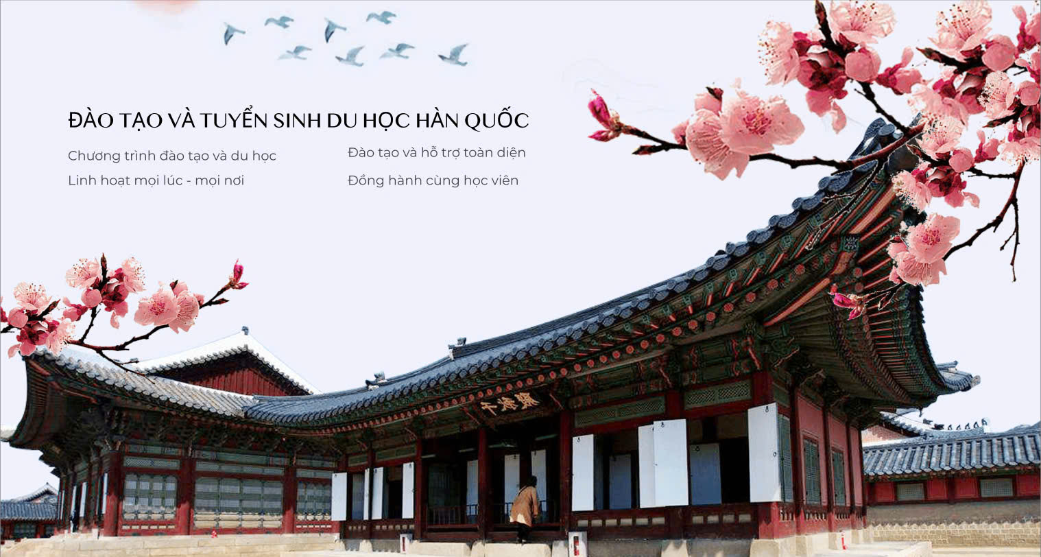 HÀN NGỮ DU HỌC HÀN QUỐC IES