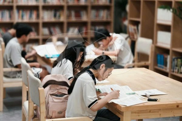Du Học Hàn Quốc Nên Chọn Ngành Gì