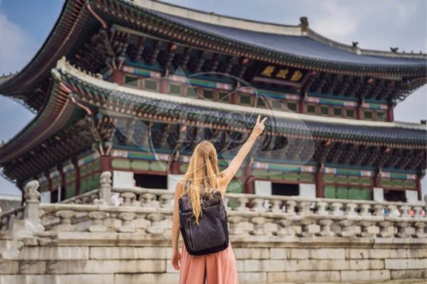 Du Học Hàn Quốc Nên Chọn Ngành Gì