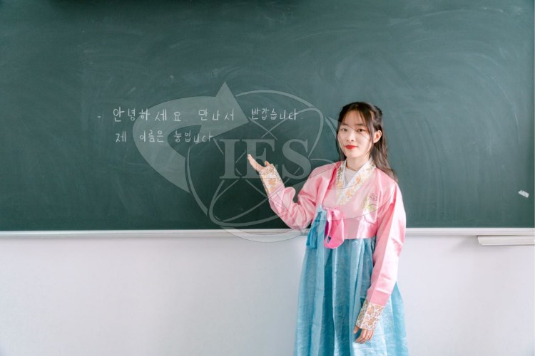 Nên học giáo trình nào?