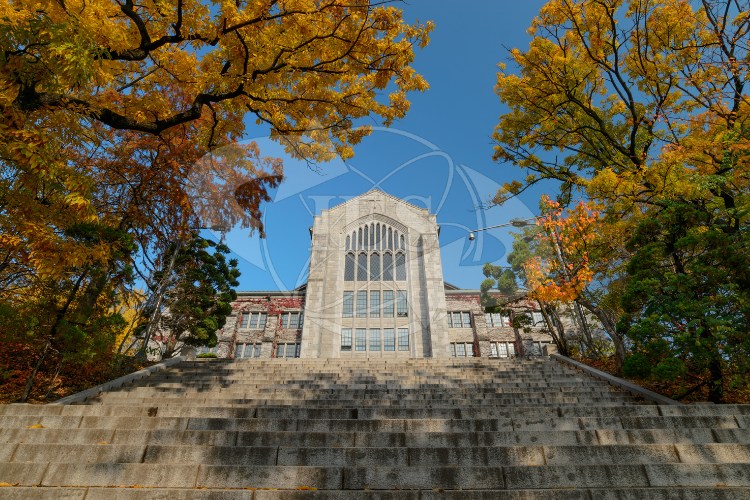 FAQ – Câu hỏi thường gặp về đại học Seoul