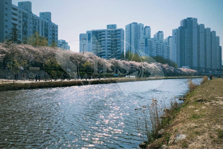 Các trường đại học Seoul nổi bật hiện nay