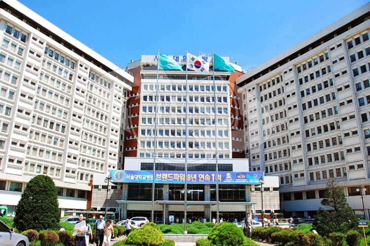 Vì Sao Nhiều Học Sinh Chọn Trường Đại Học Seoul?