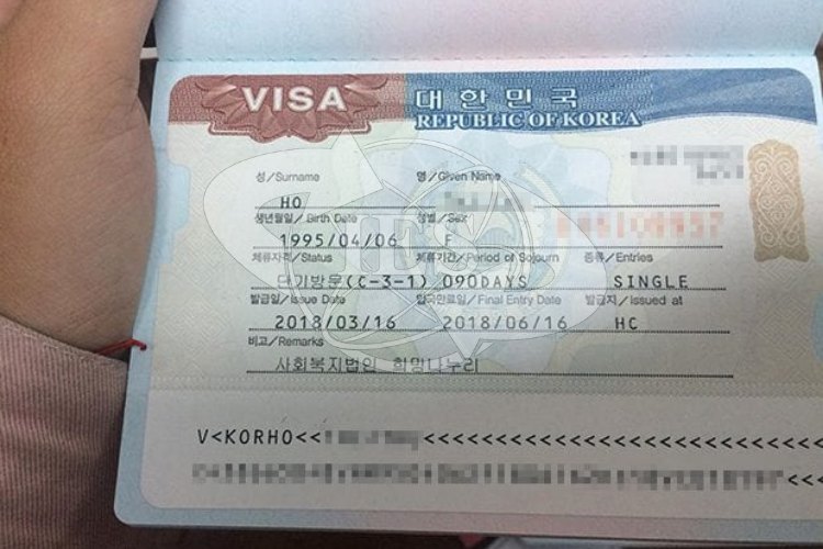 Tra kết quả visa nhưng không thấy thông tin phải làm sao?