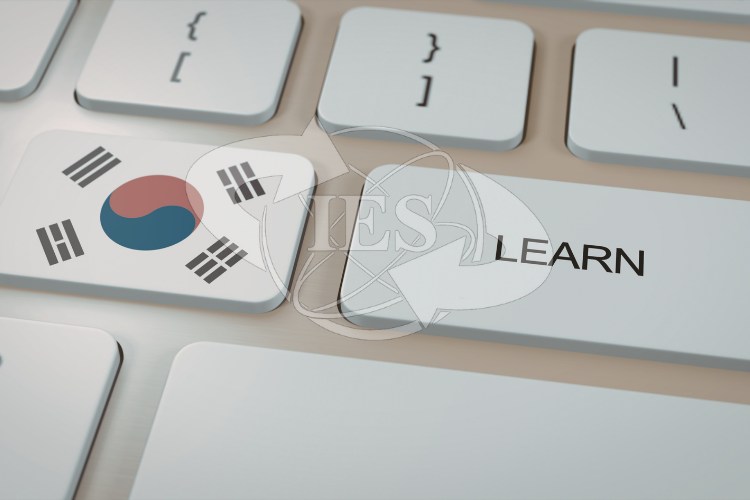 Muốn Du Học Hàn Quốc Cần Chuẩn Bị Những Gì?