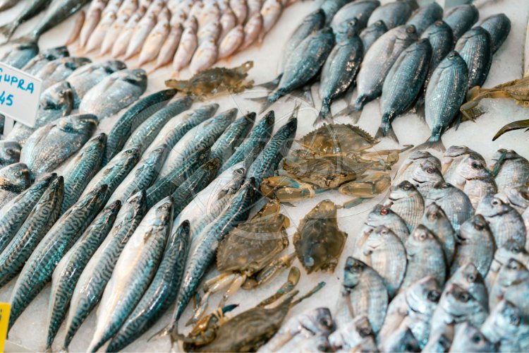 Những loại hải sản Hàn Quốc phổ biến