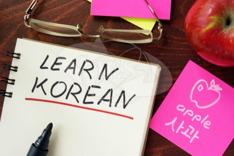 Những tài liệu tập đọc tiếng Hàn nên tham khảo