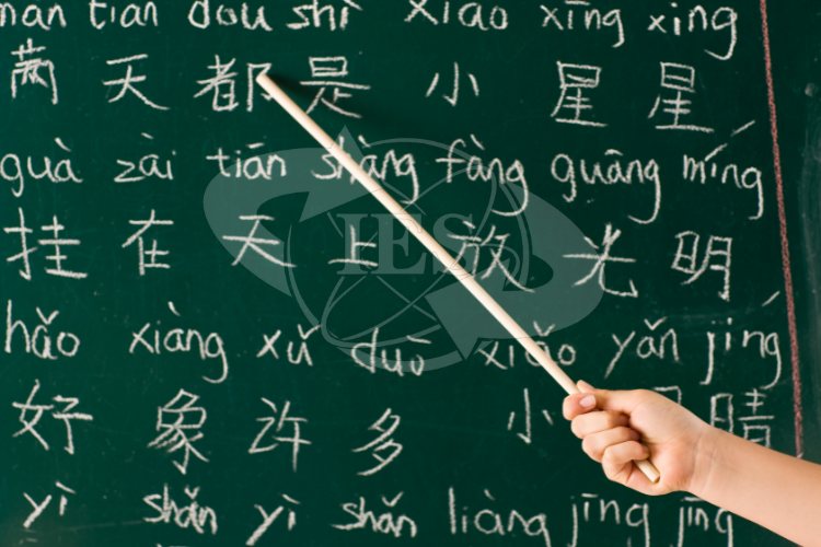 Người đi làm nên chọn giáo trình tiếng Hàn như thế nào?