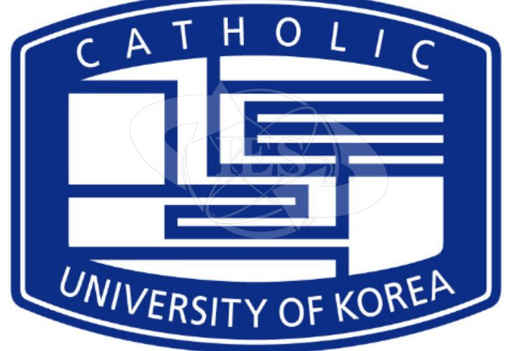 Có nên chuẩn bị hồ sơ từ sớm khi chọn trường Catholic Hàn Quốc?