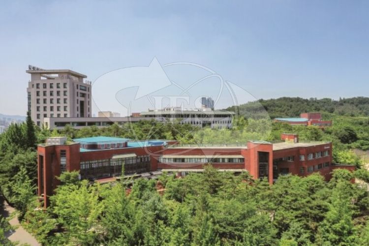 Trường Đại học Catholic Hàn Quốc ở đâu?