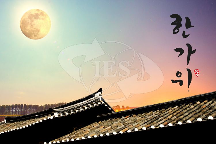 Những loại văn bản tiếng Hàn phổ biến