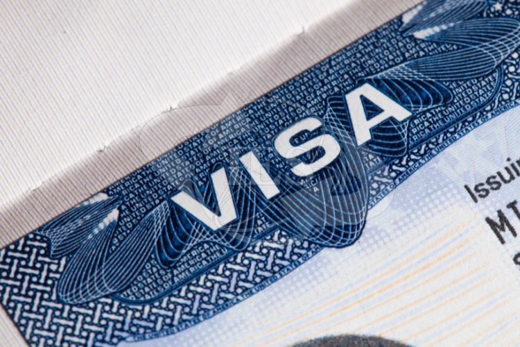 Visa D4 1 là gì?